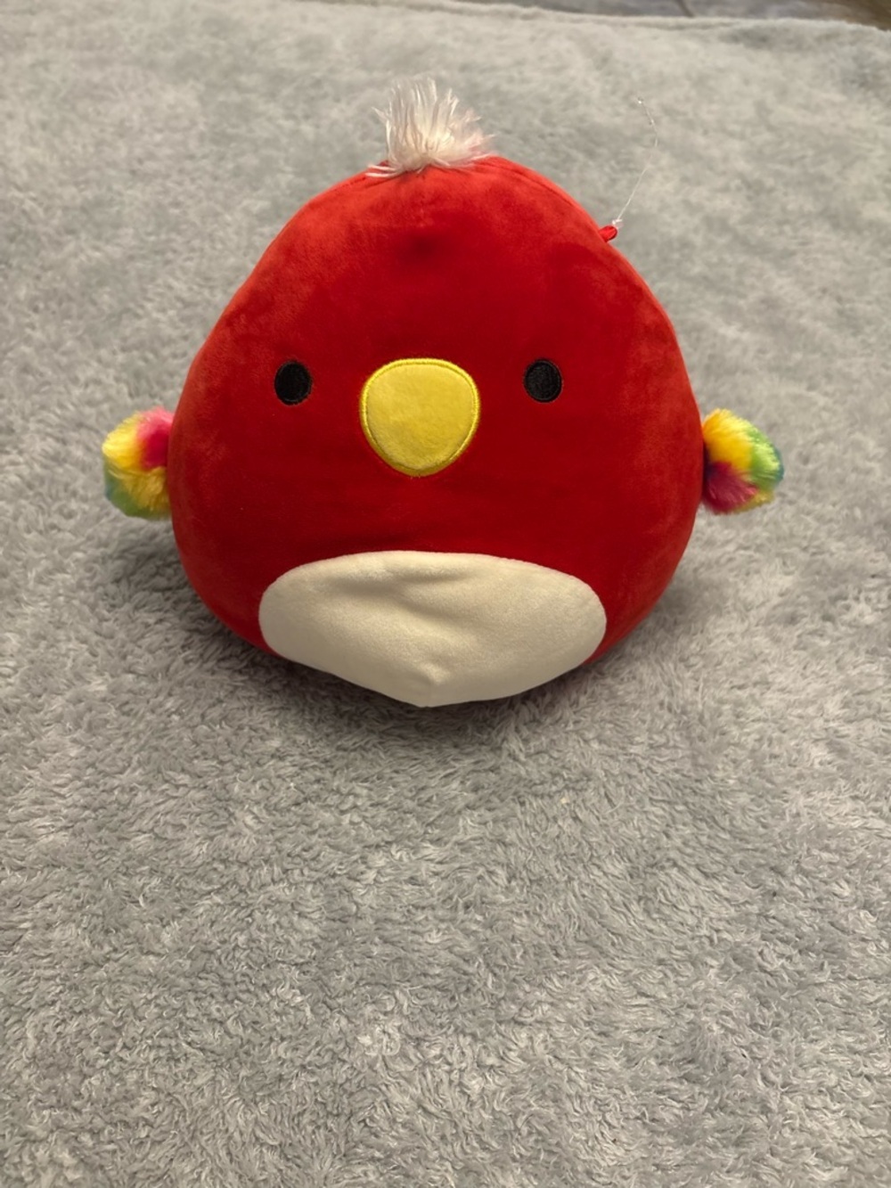 Squishmallows Paco The Parrot